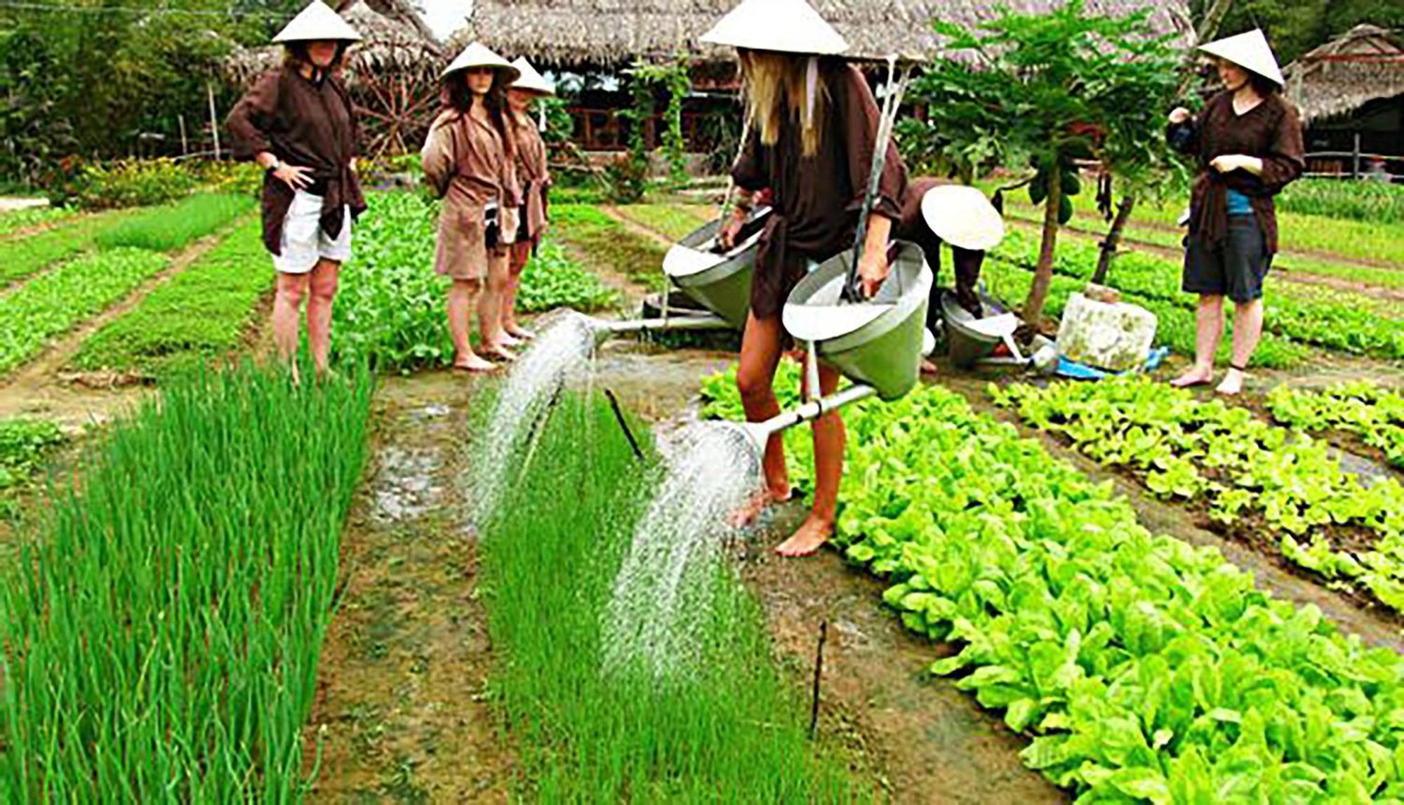 Hoi An Ocean Front Hotel Eksteriør billede